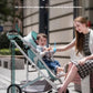 High Landscape Baby Stroller